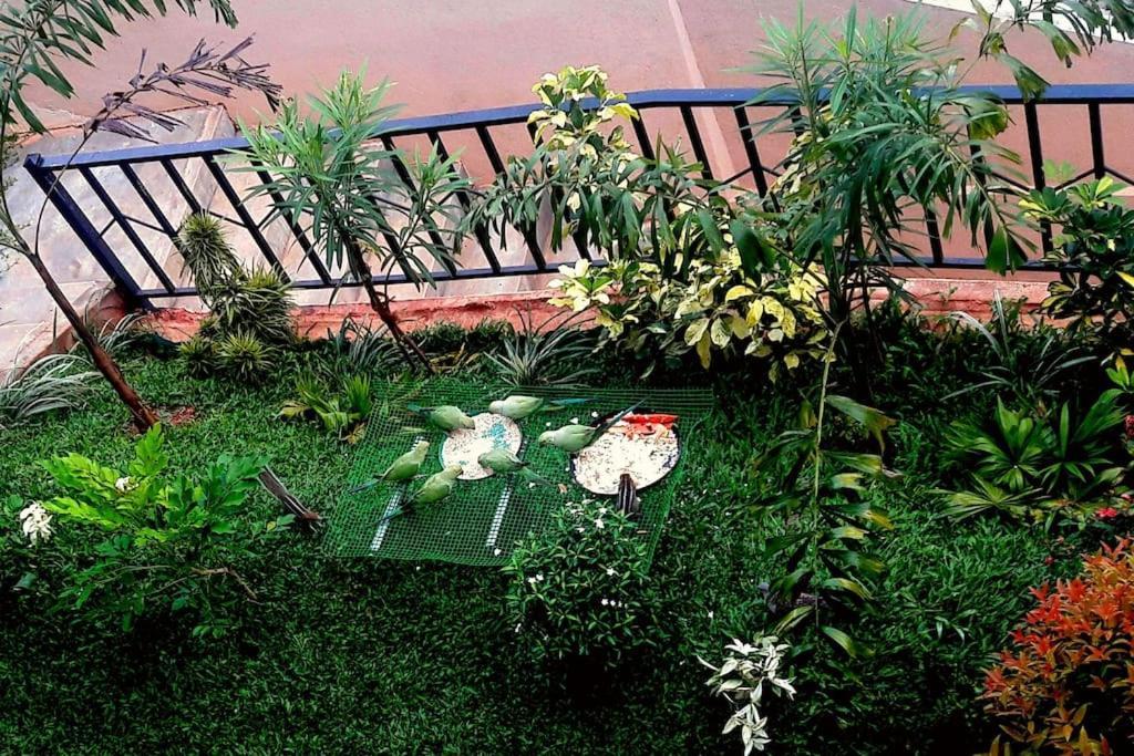 Saru Holiday Apartment - Upto 6 Guests Kandy Exterior foto